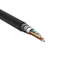 Thumbnail for Next Gen Cable USB-C PD 100W (3m) Black